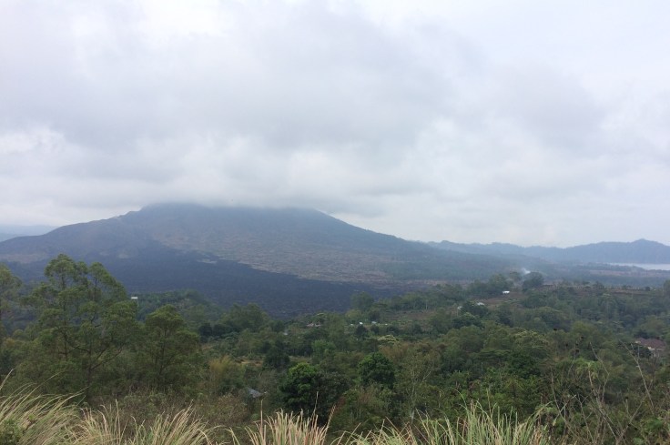 44740202_2724512551106340_6945734026334306304_n